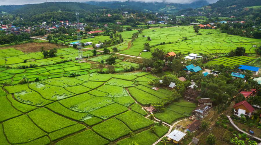 Most Popular Vehicle Choices in Mae La Noi